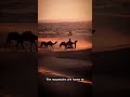 Sahara Holds 5 Secrets