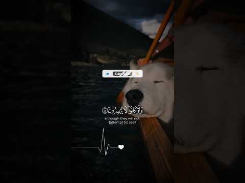 اكتب شئ تؤجر عليه في أخيرتك