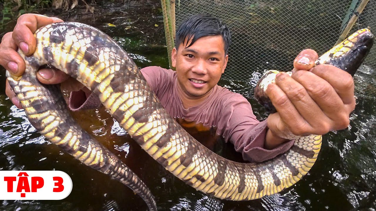 Đặt Dớn Trong Rừng Già - Ký Sự Rừng U Minh Tập 3