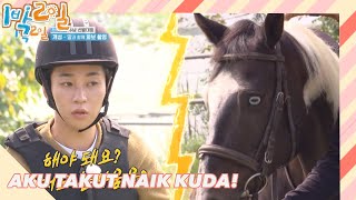 I'm Afraid of Riding a Horse |2Days&1Night|SUB INDO|211017 KBS WORLD TV Broadcast|