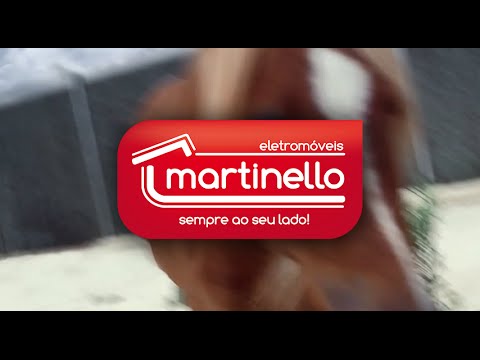 Eletromóveis Martinello LG G2 