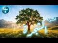 أنشودة الشجرة يا بسمة الأمل السنة الرابعة 4 بلحن جذاب