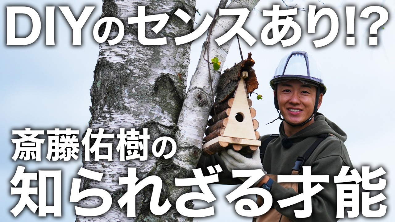 Completed in 1.5 hours! How to make a super emotional birdhouse