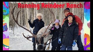 Running Reindeer Ranch, Fairbanks Alaska