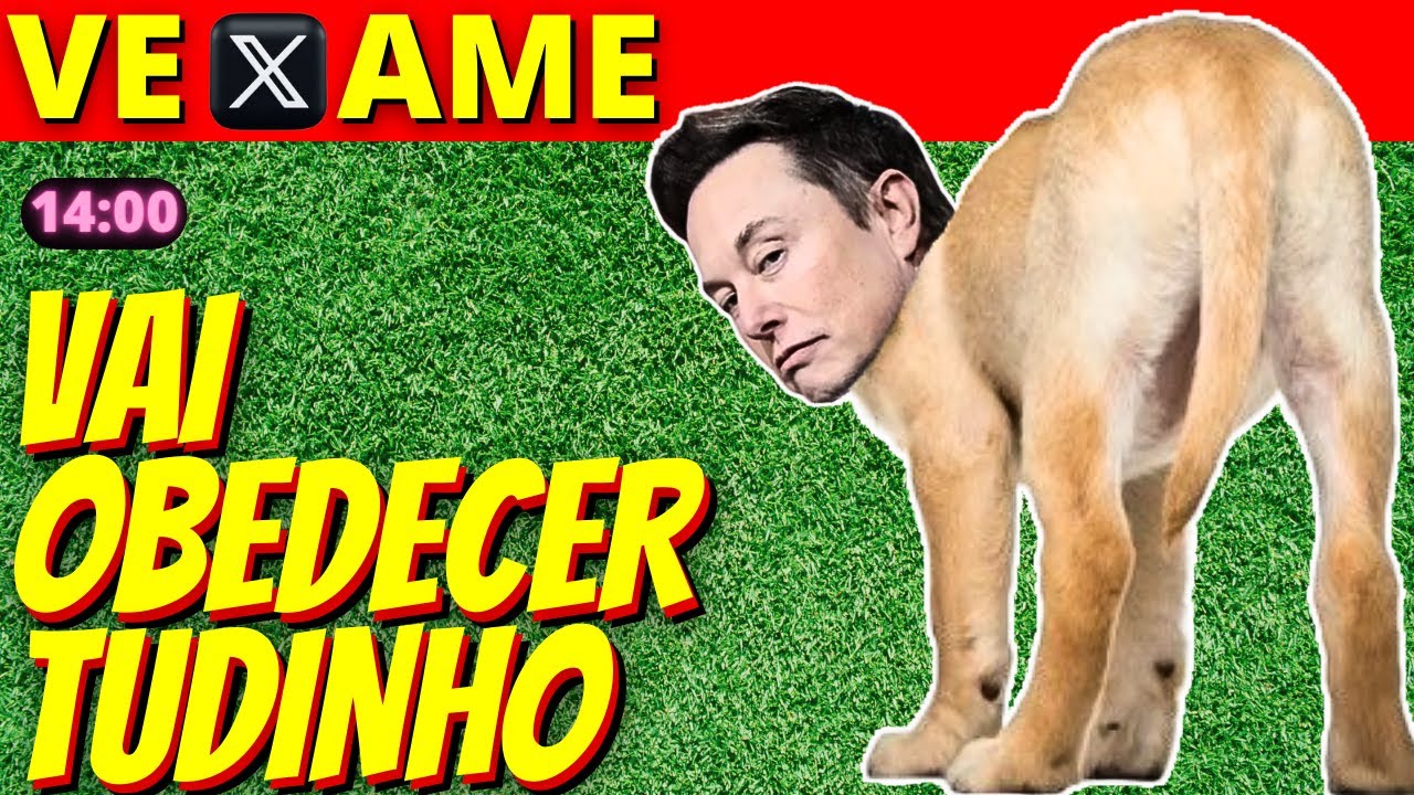 14h Com o rabinho entre as pernas, MUSK agora diz que vai obedecer as ...