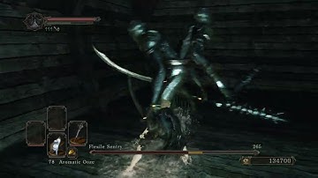 Dark Souls II - Flexile Sentry (Flawless SL1 CoC No Roll/Block/Parry)