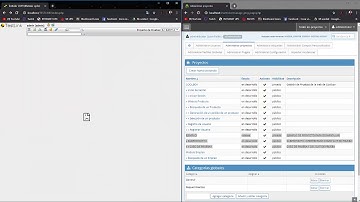 Mantis BT and Testlink - Desarrollo del Trabajo