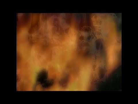 T-BOLAN「LOVE」MV