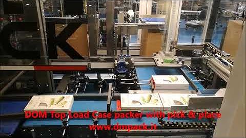 DOM - vertical case packer with pick and place system
