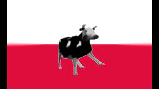 Polish Cow sped Up
