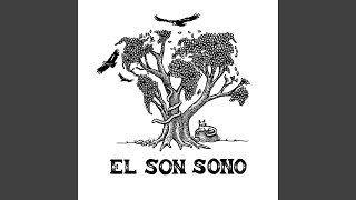 Miniatura del video "El Son Sono - Trop Longtemps"