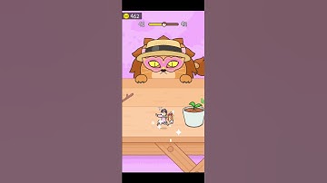 Hide & Seek Cat escape! Gameplay level 41 #hideandseek #catescape #gameplay