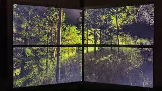 [Tellusim Engine SDK] Tellusim Forest Scene Multi-GPU