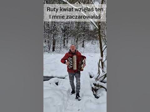 CZERWONA RUTA cover Червона Рута кавер #червонарута #czerwonaruta # ...