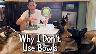 Why We Don’t Use Bowls During High Value Treat Making #belgianmalinois #dogtreats #dogtraining