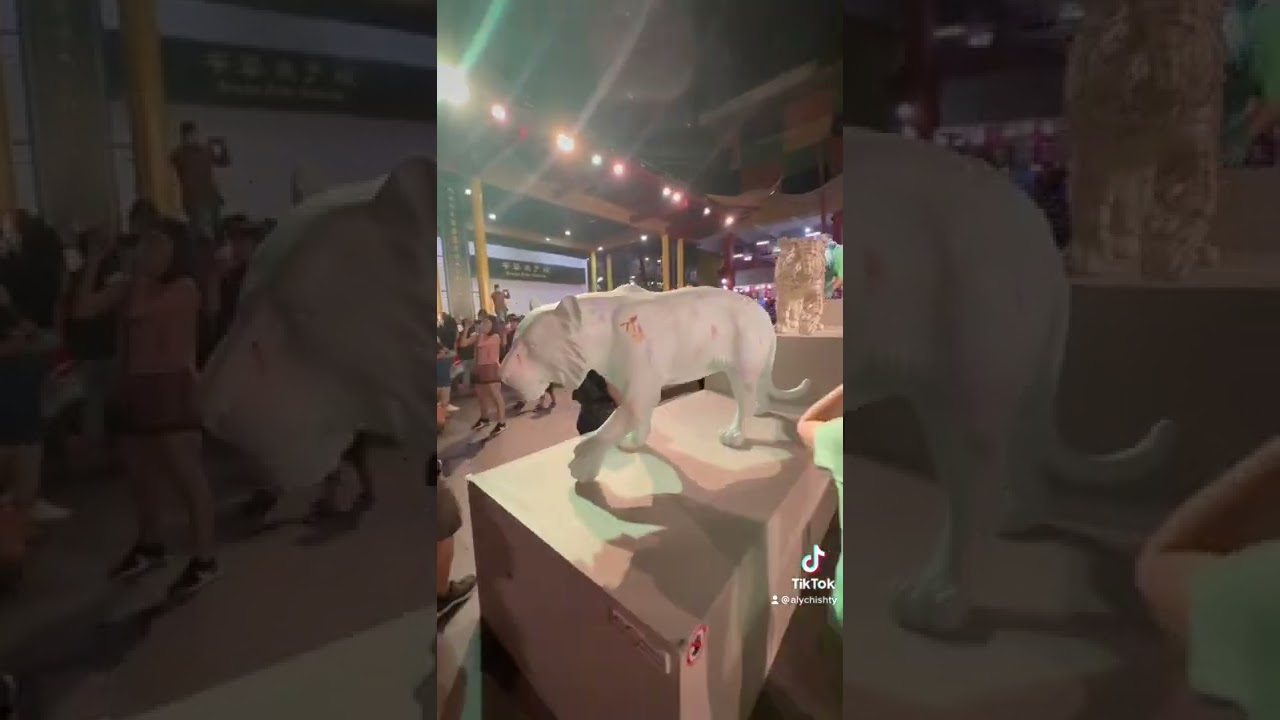 Happy Chinese New year 2022 #chinesenewyear