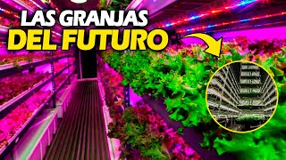 ¡La GRANJA VERTICAL más GRANDE del MUNDO! Sostenibilidad y Plantaciones con Tecnología punta by Ingeniería Monstruosa 338 views 1 month ago 10 minutes, 1 second