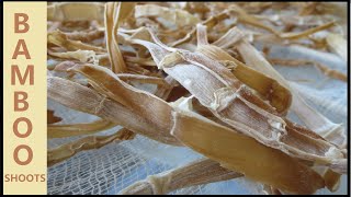 Traditional Chinese Bamboo Shoot Preservation (drying)
