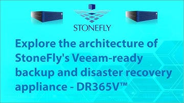 Explore the architecture of StoneFly