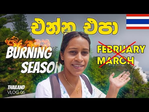 Dont visit Chiang Mai during these months 