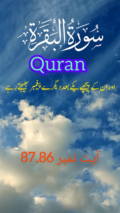 #quran #ayat #deen #akhira #tazkia #surahbaqarah #islamicvideo #assalamualaikum313