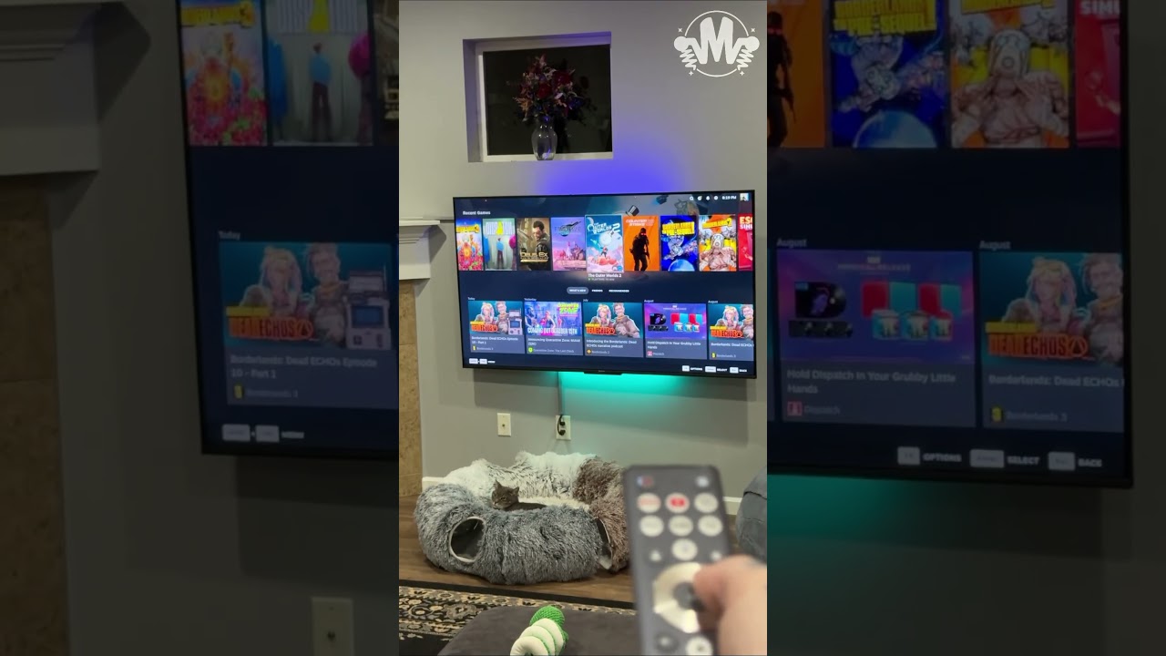 Weird Controller for my DIY Steam Machine!?!