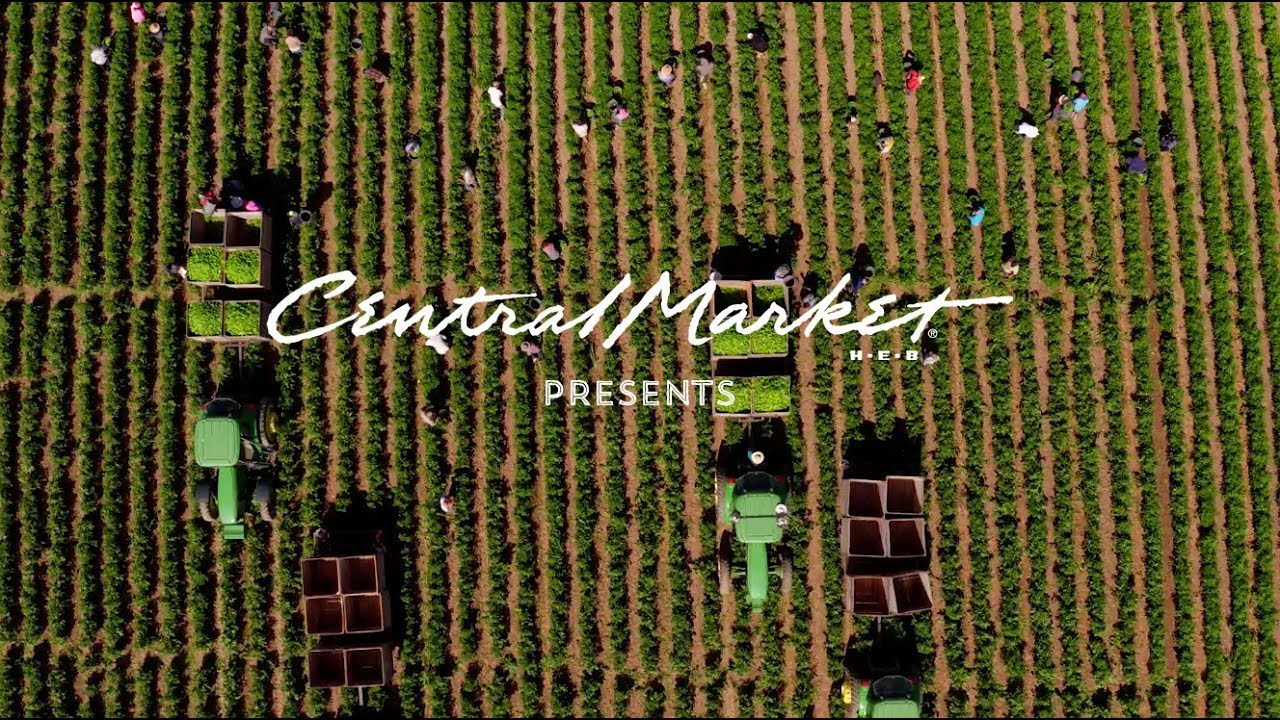 Hatch Peppers Farm to Market | Sourcing the Best | Central Market