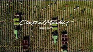 Hatch Peppers Farm to Market | Sourcing the Best | Central Market
