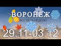 Новости Воронежа (29 ноября - 3 декабря)