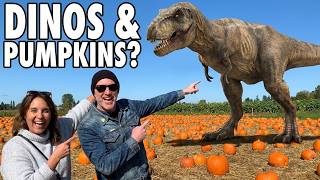 Best Pumpkin Patch Near Vancouver! We Found the Ultimate Fall Fun!