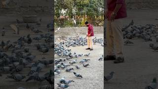 Shivam Divakar Mukherjee Nagar