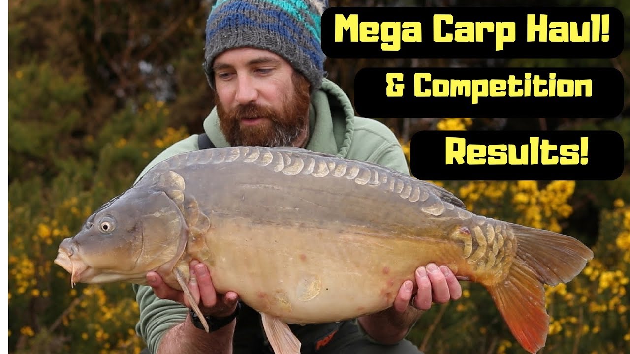 Carp Fishing Method Feeder Fishing and Withy Pool Rig Explained YouTube