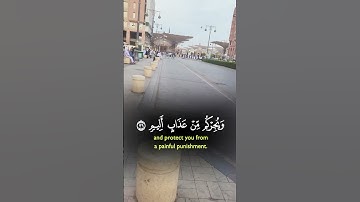 قرآن كريم _تلاوة خاشعة _ راحة نفسية #قرآن #اكسبلور #ترند #لايك #tiktok #trending #duet #explore