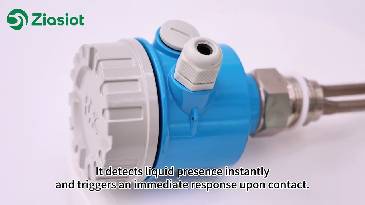 Tuning Fork Level Switch