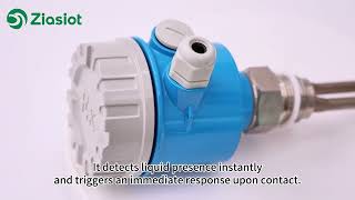 Tuning Fork Level Switch