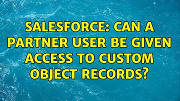 Salesforce: Can a partner user be given access to custom object records?