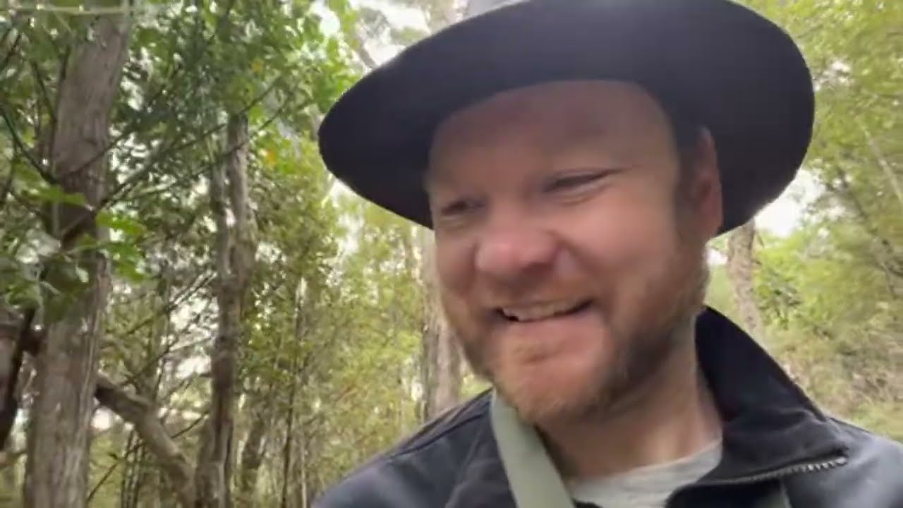 NZ Bird Nature Walk at Orokonui