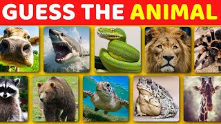 Guess The Animal #7
