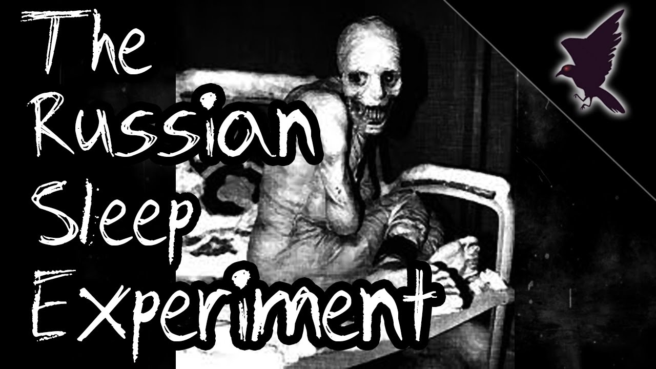 Russian Sleep Experiment Creepypasta Wiki