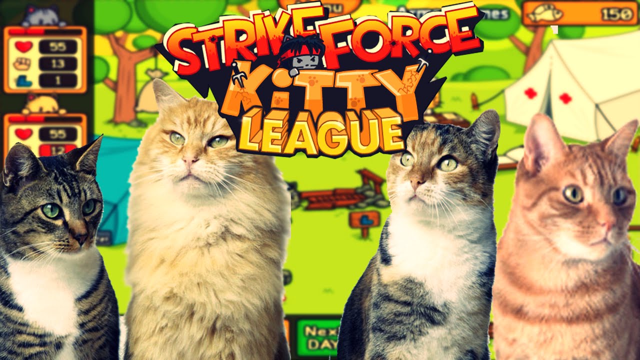 A Liga Dos Gatinhos - StrikeForce Kitty League #1 