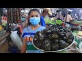 Market show, buy snails for my recipe / Boiled snail dip in fish paste sauce / Countryside Life TV