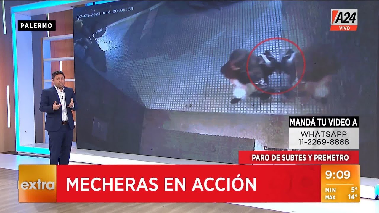 ASÍ TE ROBAN EN PALERMO: de manera disimulada, mecheras roban en bares y en la calle 🚨