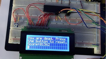 UCR EE/CS 120B Winter 2020 -- Rizelle Vinluan -- Dodge!