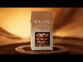 EALIX Studio Cookies — where product design meets cinematic AI creativity.