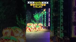 DJ MNK MEERPUR MANURI PRAYAGRAJ YOUTUBE SHORTVIDEO