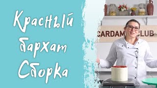 Как выровнять и собрать торт/ Сборка торта Красный бархат/ Рецепт идеального крема для выравнивания Как выровнять и собрать торт/ Сборка торта Красный бархат/ Рецепт идеального крема для выравнивания