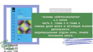 «Основы нейропсихологии» А.Р.Лурия. Прямой эфир 7