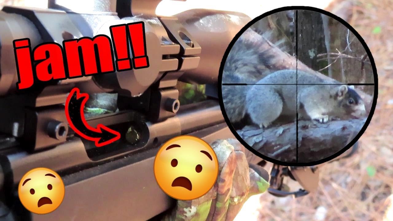 Squirrel Hunt with .22 LR for Fox Squirrels Rossi RB22 Hunting 