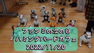 aiboファンミーティングの次の日のハミングバードカフェ20221120