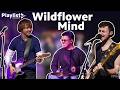 Pop-Rock Magic from Wildflower Mind | Playlist 48